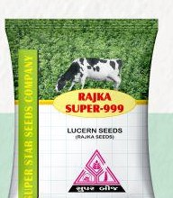 Rajka Super-999 fodder seed pack